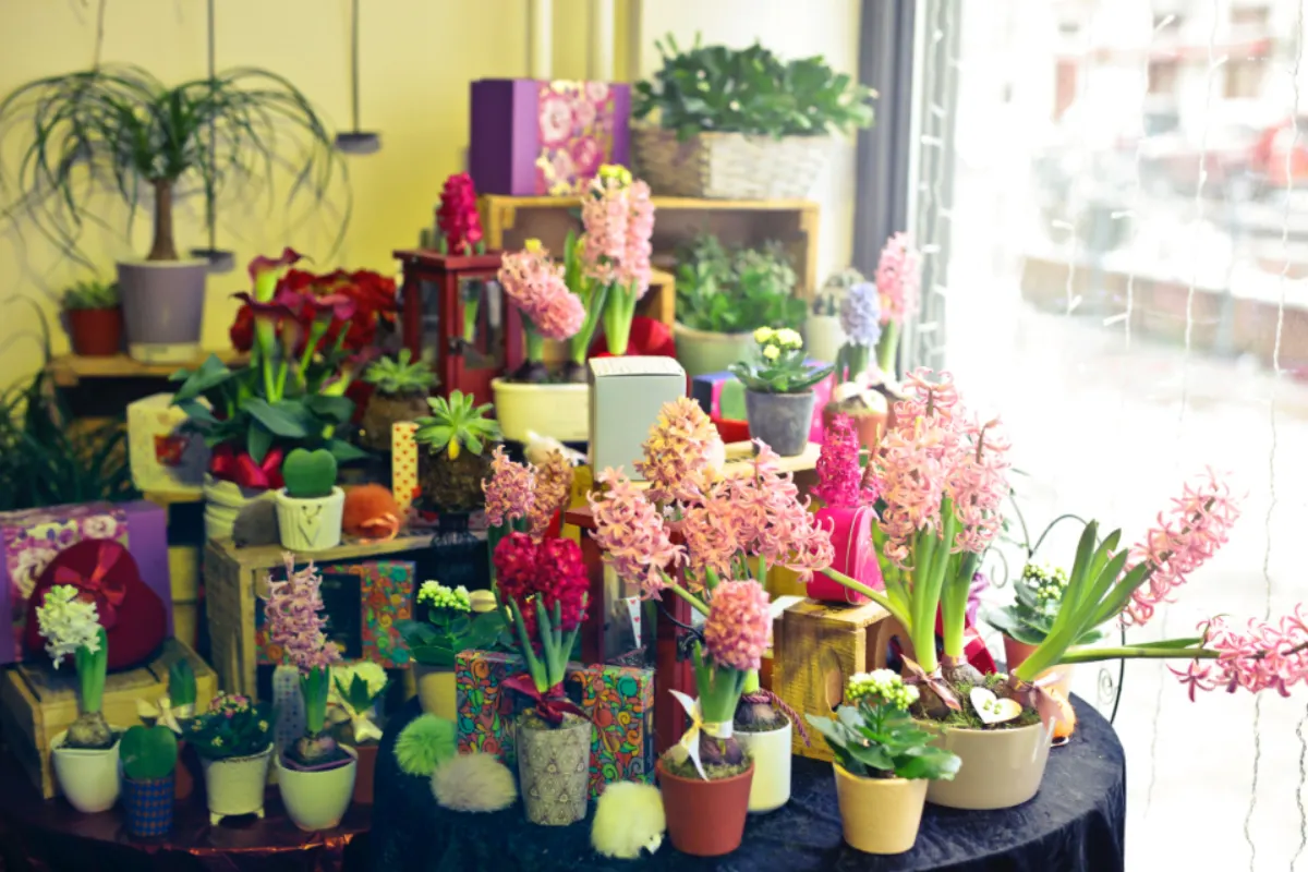 Interior luminoso de una floristería con plantas y flores