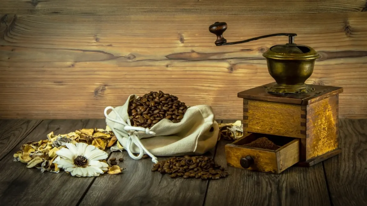 Saco de café en grano junto a un molinillo antiguo